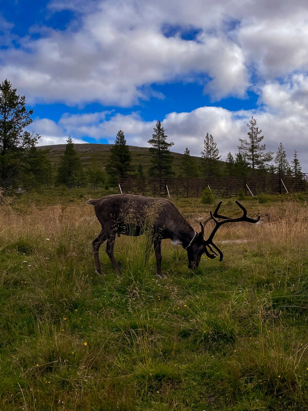 Roadtrip durch Finnland: Die 10 schönsten&nbsp;Stopps