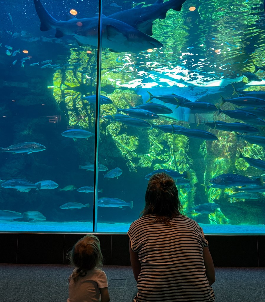 Two Oceans Aquarium mit Kleinkind in Kapstadt