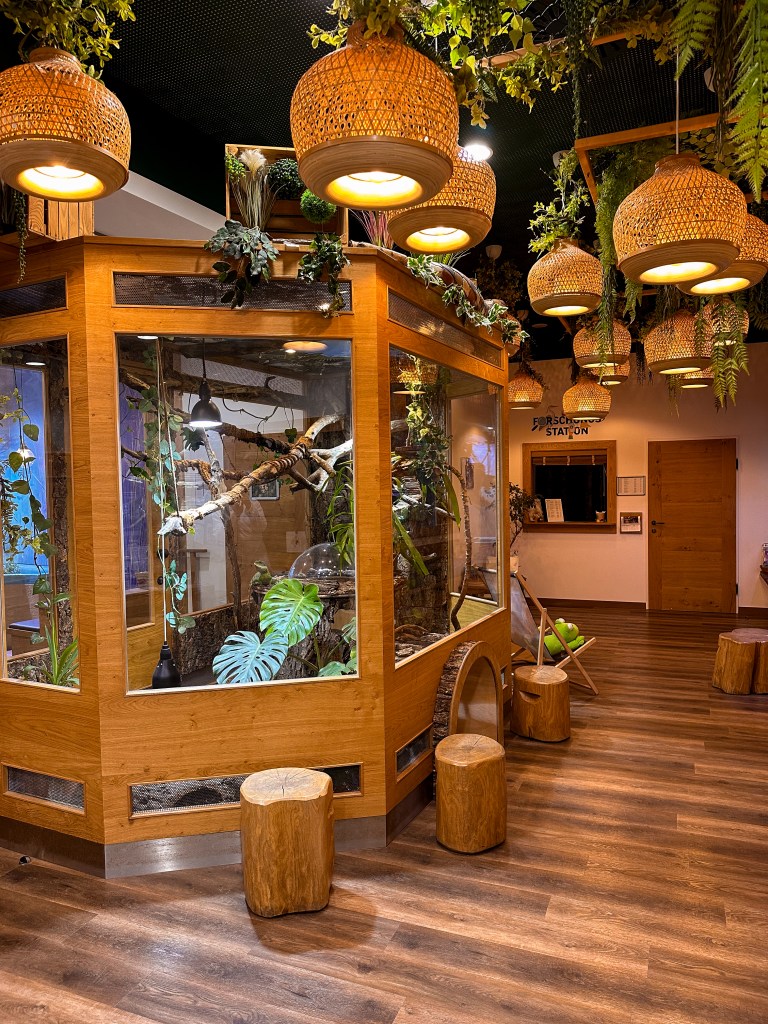 Forschungsstation mit Kinderspielecke in der St.Martins Therme & Lodge