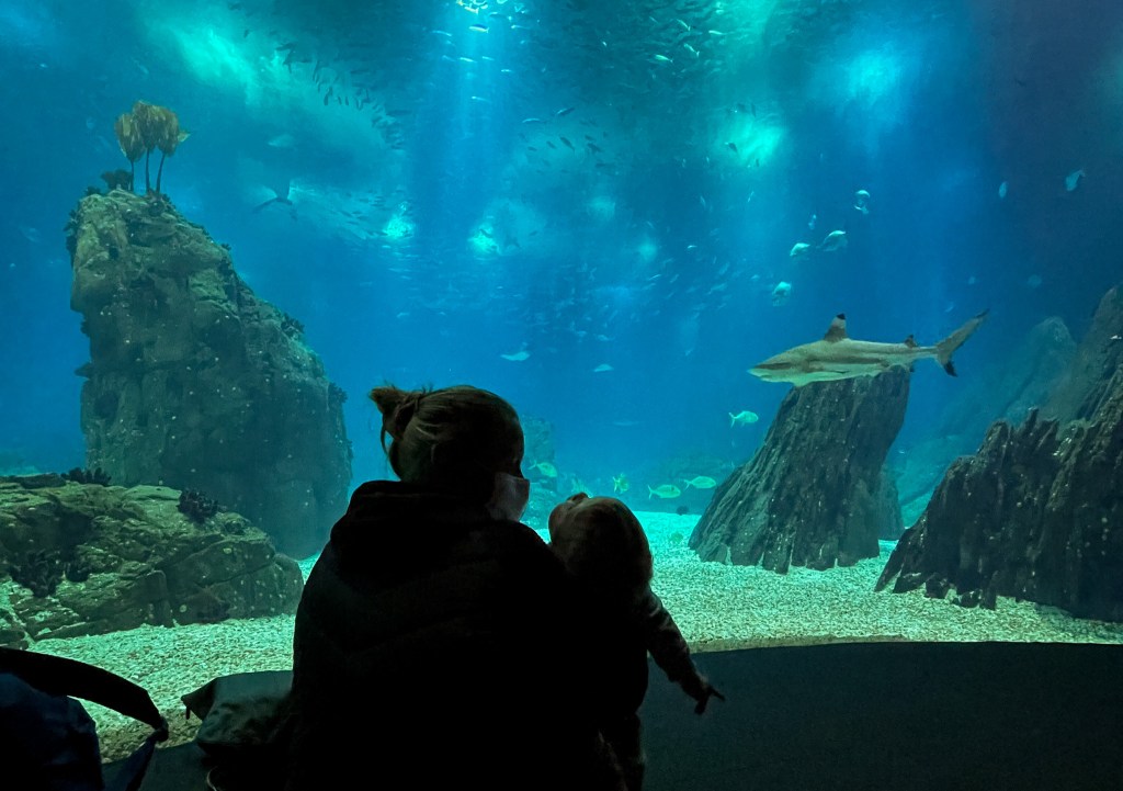 Ozeanarium - größte Meeresquarium Europas in Lissabon. Frau mit Kind sitz vor einem Aquarium. 