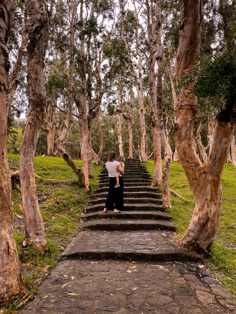Black River Gorges National Park